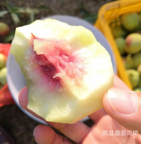 天堂蜜桃91精品，品质与美味的完美结合