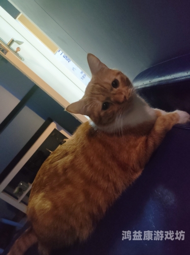 亚洲影院午夜在线免费亚洲影院午夜在线免费，观影新风尚还是版权陷阱？