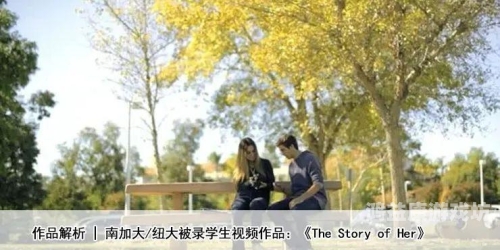 亚洲中文字幕三区二区亚洲影视内容分级详解，三区二区字幕版差异与特色解析