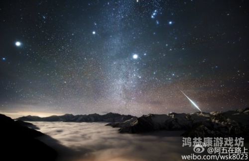 天堂婷婷天堂婷婷，网络时代下的一颗流星