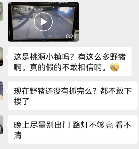 国产天天看视频在线，娱乐新选择还是版权隐患？