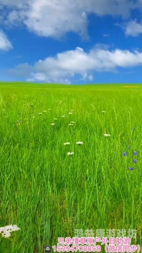 伊人精品青青草原伊人精品青青草原，草原文化与现代时尚的完美融合