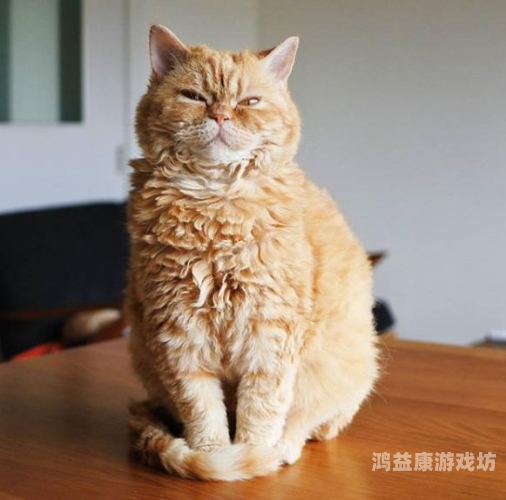 老子午夜我不卡理论在线观看---