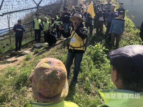 欧美韩日本一本交道免费，全球免费交通政策对比与未来展望