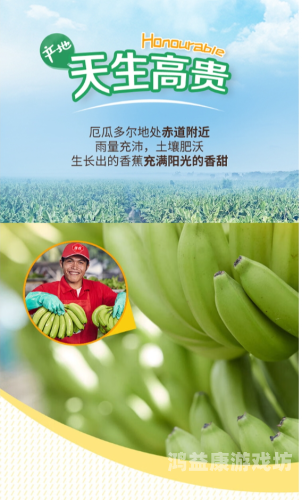 久久大香香蕉国产构思思路