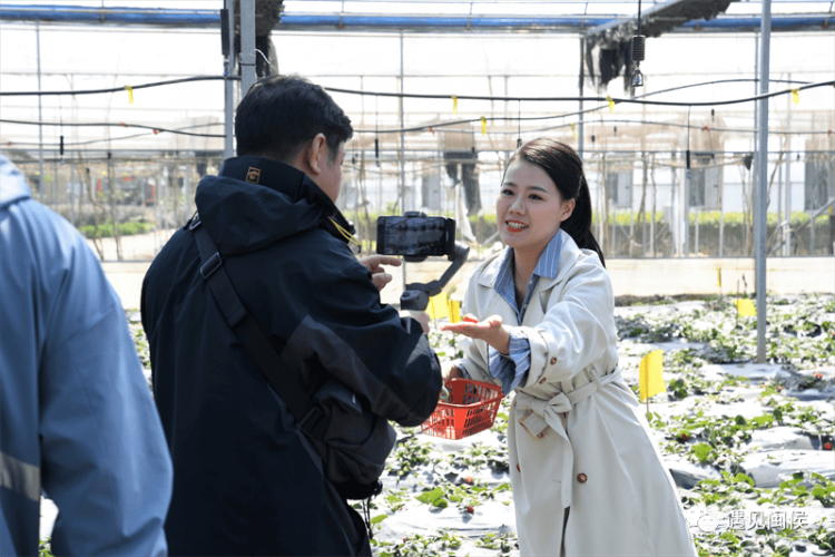 国产第一页秋霞影院秋霞影院，国产第一页的崛起与发展现状深度解析