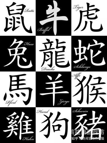 天天躁夜夜躁天干天干20202020年，天干之年，焦虑与躁动的社会情绪剖析