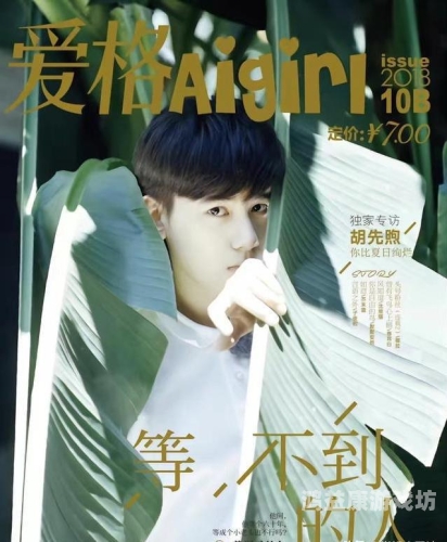 欧美国产在线网站视频免费欧美与国产在线视频网站免费观看现象解析，现状、影响与未来趋势