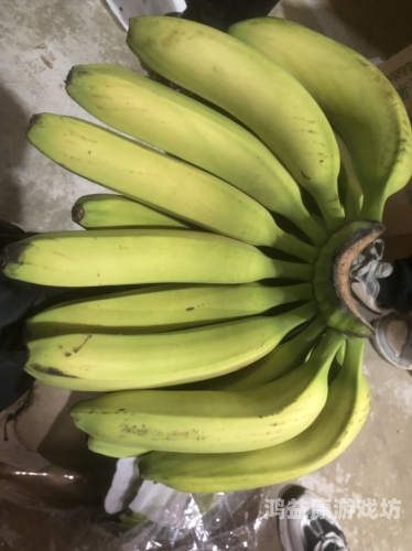 香蕉亚洲国产自在自线mogu