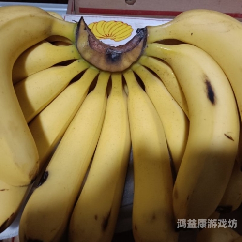 香蕉亚洲国产自在自线mogu