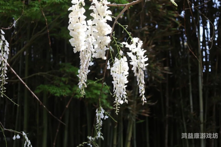 亚洲 另类 春色 国产亚洲春色，国产文化中的另类春色新闻