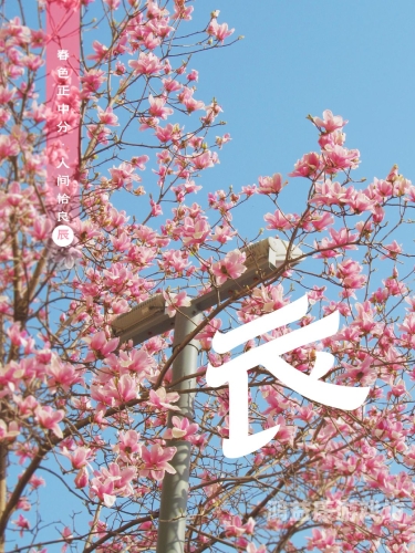 亚洲 另类 春色 国产亚洲春色，国产文化中的另类春色新闻