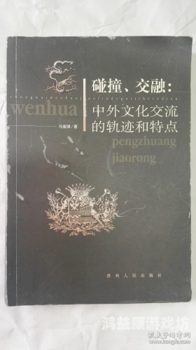 亚洲欧美成人综合一区，探索多元文化的交融与碰撞