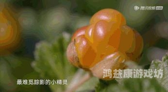 亚洲色欲无码精品亚洲色欲无码精品，探索神秘诱惑的诱惑世界