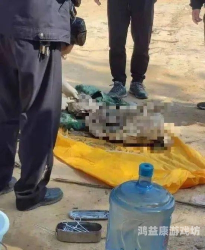 深夜无码一区二区三区，探索深夜游戏社区的神秘面纱