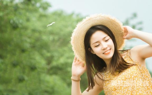 四虎经典，免费内容持续不断四虎经典免费久久久久久久