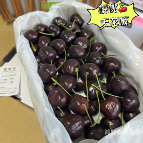 俄罗斯特级无码精品在线播放一区二区俄罗斯特级无码精品在线播放一区二区，探索神秘的网络世界