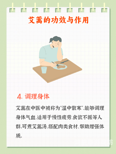 久久精品国产精品亚洲艾草网，引领水蜜桃在线播放生活的新潮流