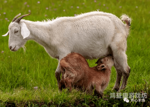 国产无码专区吃奶喷水国产无码专区，探索性报道——关于吃奶喷水的新闻资讯
