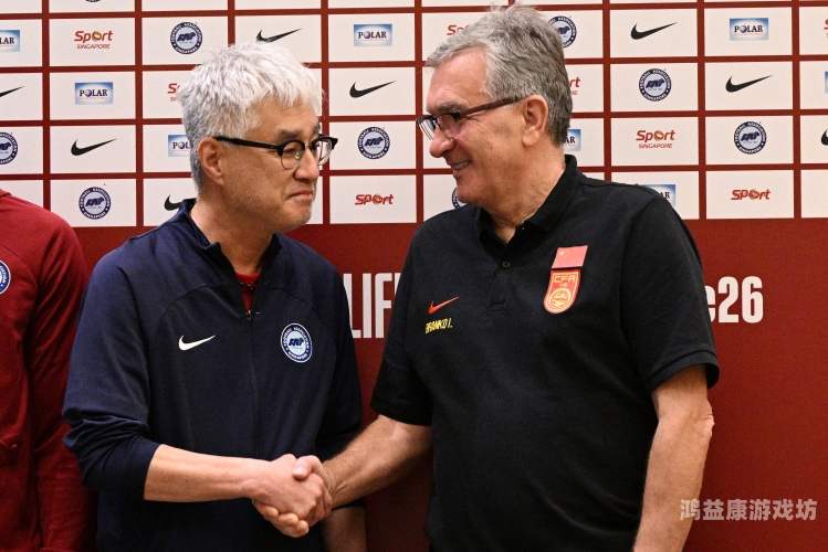 亚洲日韩欧美黑白配亚洲新闻，日韩欧美黑白配的多元文化与新闻焦点