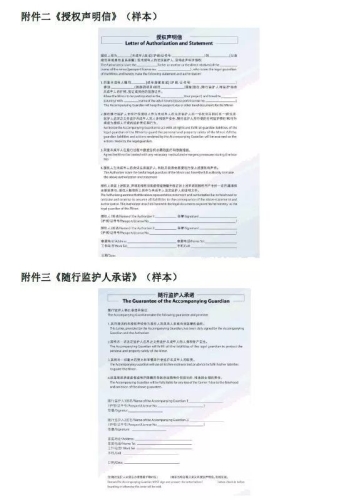 Gav加勒比不卡视频免费播放器，探索多元娱乐新选择加勒比公司的官网