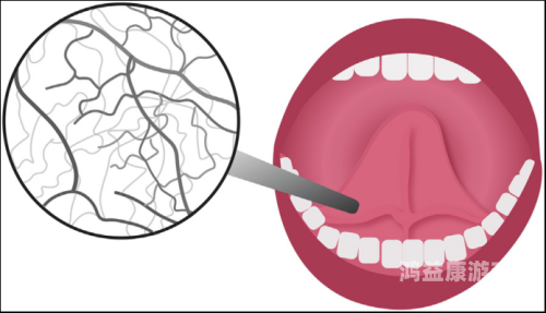 欧美精品亚洲精品日韩专区va欧美精品亚洲精品日韩专区文章