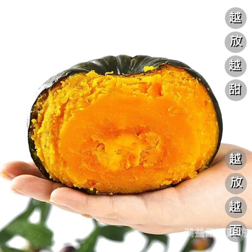 国产精品在线观右手，18年的精彩故事等你来发现