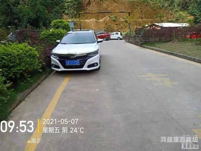 2021无码精品视频推荐，内容丰富，流畅不卡