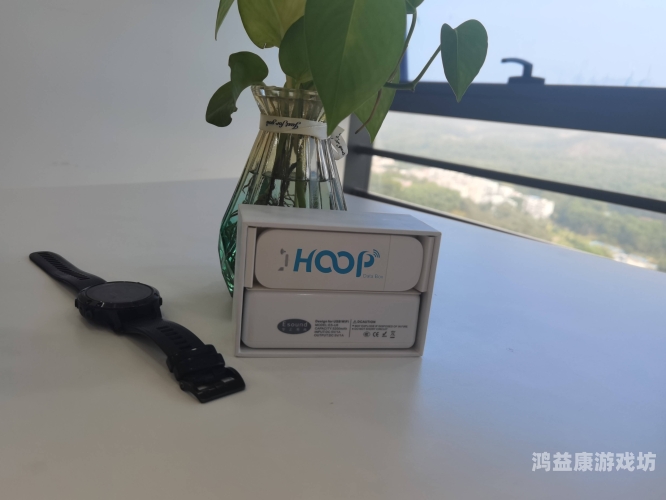 成人无码精品无码成人无码精品无码，探索网络世界的神秘角落