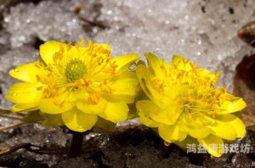 五月丁香，精品汇聚，久久女人共赏