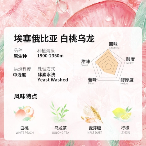 精品无码在线播放，探索数字时代的影视新世界今天高清视频在线观看