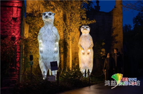 免费在线观看h网站，揭秘网络视频的神秘世界