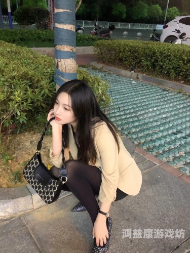 日韩av在线精品免费毛片日韩AV在线精品免费毛片，探索神秘诱惑