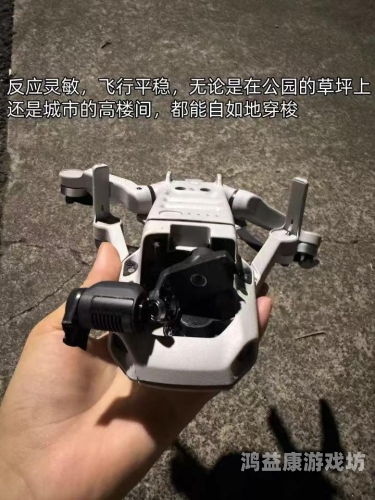 探索无码一级观看的神秘世界