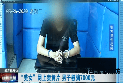 国产黄片在线免费看国产黄片在线免费看，探索网络视频的多元文化