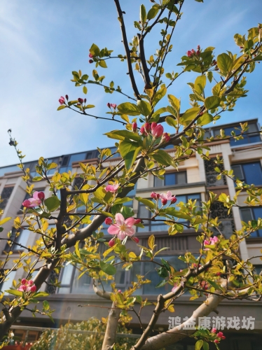 久久久久五月丁香国内精品五月丁香，国内精品新闻资讯