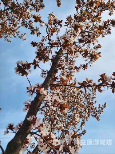 久久久久五月丁香国内精品五月丁香，国内精品新闻资讯
