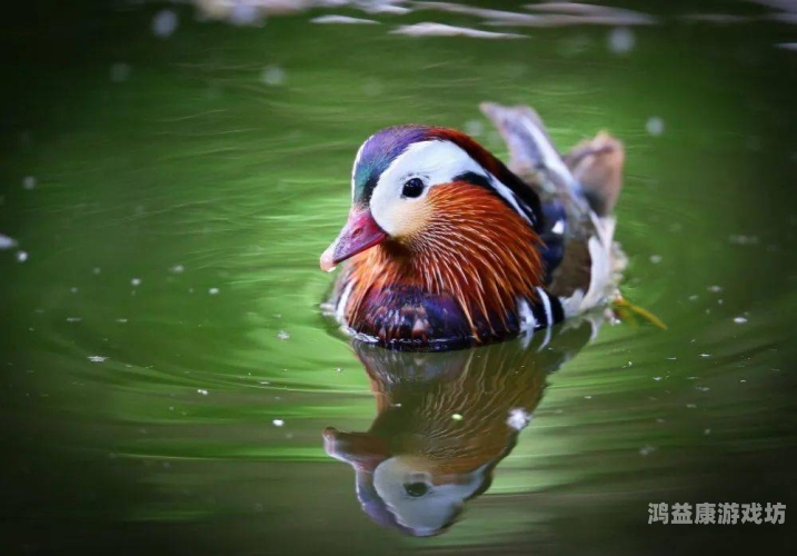 9色在线视频国产绿色9色在线视频国产绿色，引领绿色视频新时代