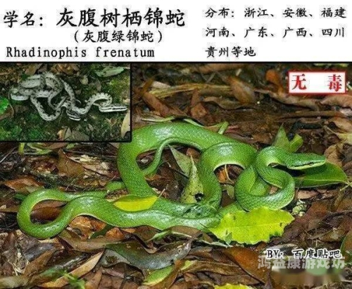 亚洲无毒精品无码AV在线亚洲无毒精品无码AV在线，安全、便捷的在线娱乐新体验