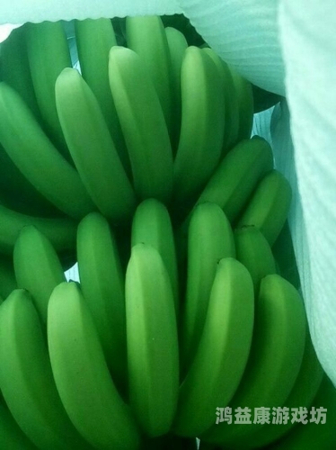 百度搜索热门文章，99久久精品视香蕉蕉aⅴ九九香蕉热诚