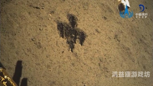 探索未知，无码视频在线播放器角色设定