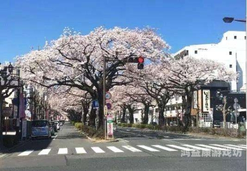 日本a级特黄特黄刺激大片日本震撼上映，A级特黄刺激大片揭秘