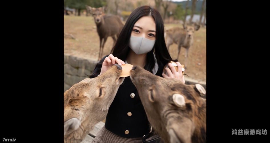 久久毛片一区二区百度搜索收录，久久毛片一区二区新闻资讯