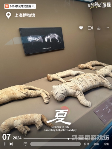 久久五月天久久香蕉电影网五月天与久久香蕉电影网，探索影视新世界