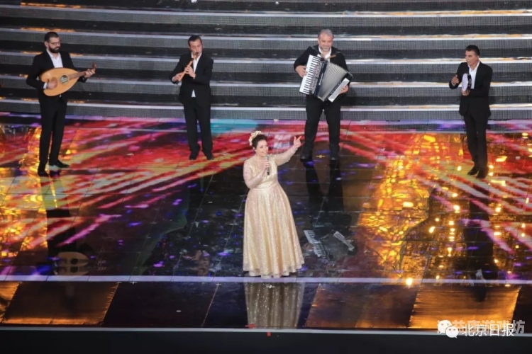 在线播放亚洲精品在线播放亚洲精品，文化盛宴的璀璨篇章