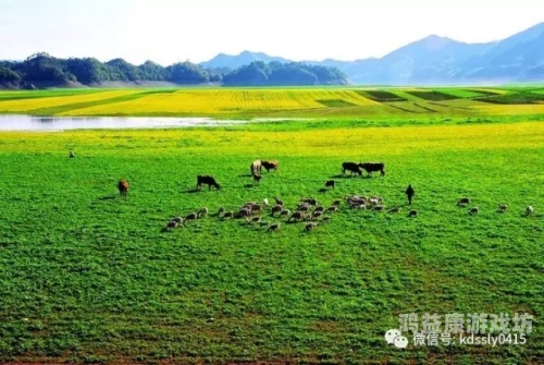 亚洲的神秘之地，探索aⅴ天堂的无码世界