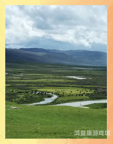 探索天堂色视频，神秘文化与视觉盛宴老牛视频的最新版本更新内容介绍