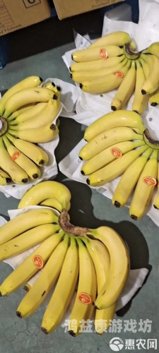 国产精品香蕉在线观看网址，探索精品国产乱码久久久久水蜜桃口感与文化魅力