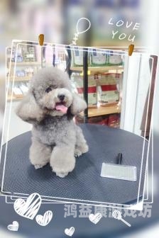 AV在线麻免费观看网站，探索影视新天地