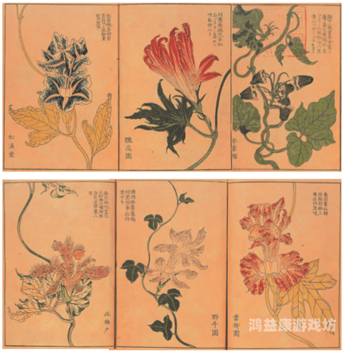 一本无码久本草在线无码久本草在线，揭开神秘本草世界的神秘面纱